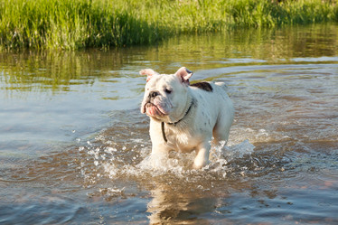 Similar image 6583509