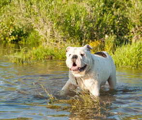 Similar image 6583510