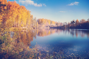 Similar image 6583529