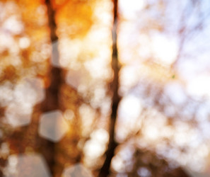 Similar image 6583533