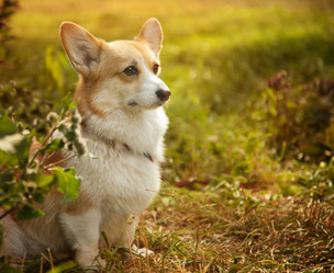 Similar image 6583538