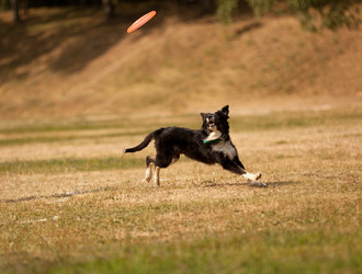 Similar image 6583548