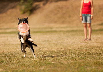 Similar image 6583550