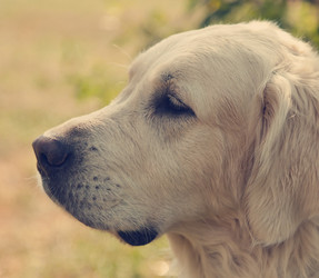 Similar image 6583553