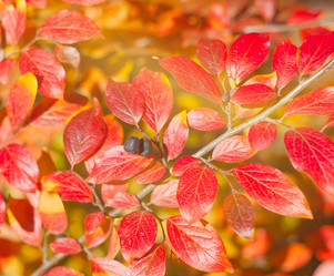 Similar image 6583554