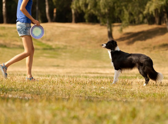 Similar image 6583556