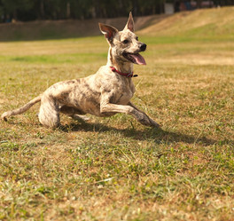 Similar image 6583558