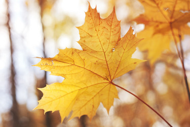 Similar image 6583564