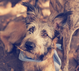 Similar image 6583563