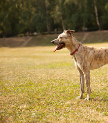 Similar image 6583570