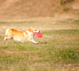 Similar image 6583569