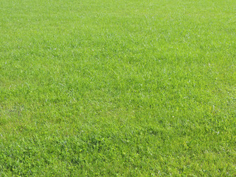 Similar image 6583592