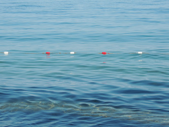 Similar image 6583594