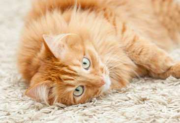 Similar image 6583600