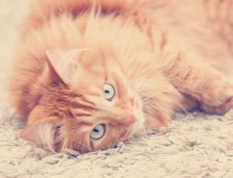 Similar image 6583601