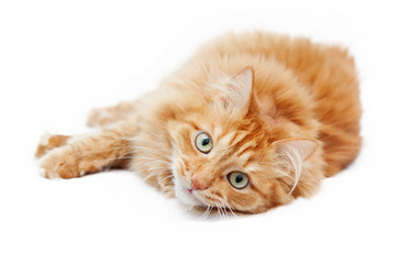 Similar image 6583602