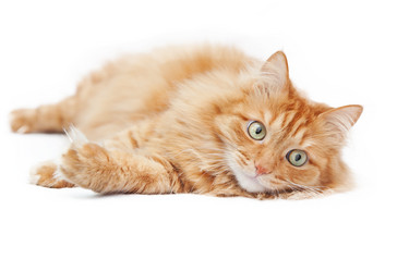 Similar image 6583603