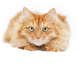 Similar image 6583605