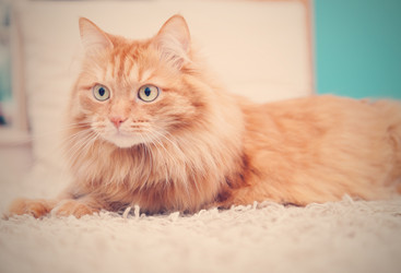 Similar image 6583606