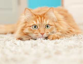 Similar image 6583607