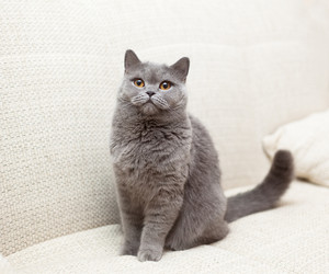 Similar image 6583609