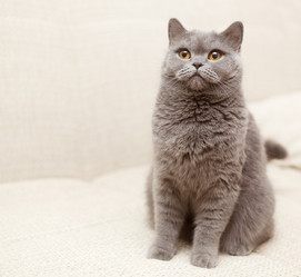 Similar image 6583610