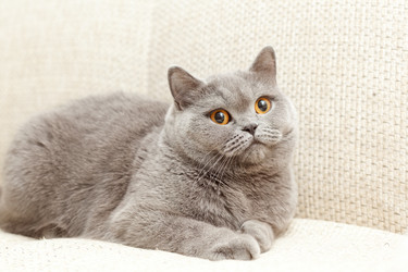 Similar image 6583611