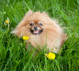 Similar image 6583618