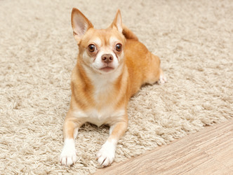 Similar image 6583619