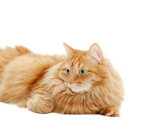 Similar image 6583623