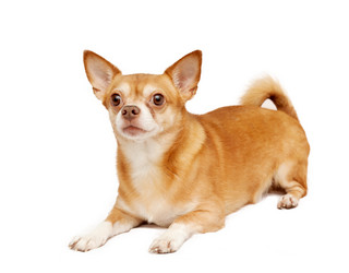 Similar image 6583625