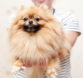 Similar image 6583627