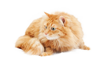 Similar image 6583628