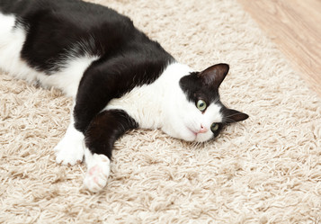 Similar image 6583629