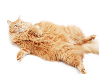 Similar image 6583630