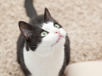 Similar image 6583631