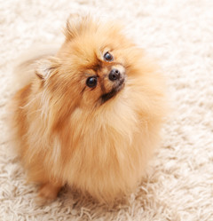 Similar image 6583633