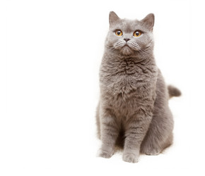 Similar image 6583638