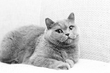 Similar image 6583639