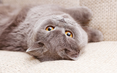 Similar image 6583640