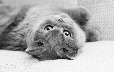 Similar image 6583642