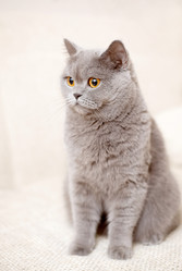 Similar image 6583644