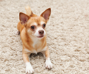 Similar image 6583649