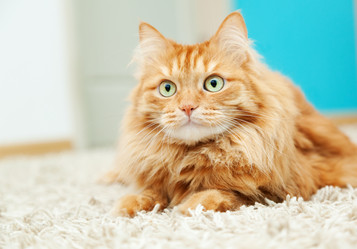 Similar image 6583650