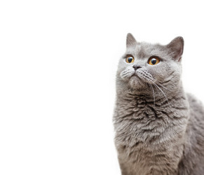 Similar image 6583651