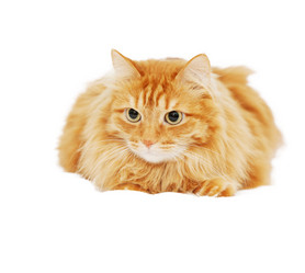 Similar image 6583656