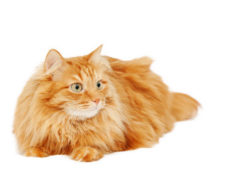 Similar image 6583657