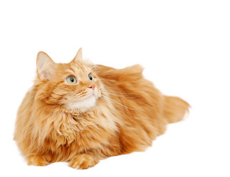 Similar image 6583658