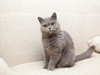 Similar image 6583662