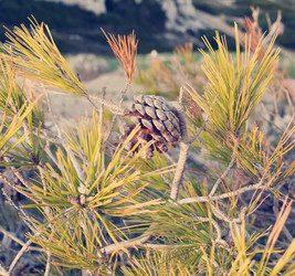 Similar image 6583722